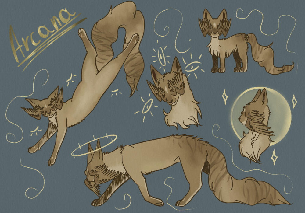 Sketchy Page £60+ [depends on what you want here and how complicated the design is]